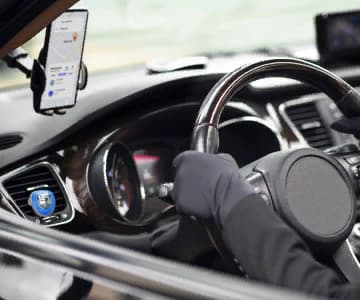 hands on the steering wheel